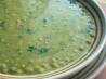 Spinach and Green Pea Soup. Recipe by Panda Rose