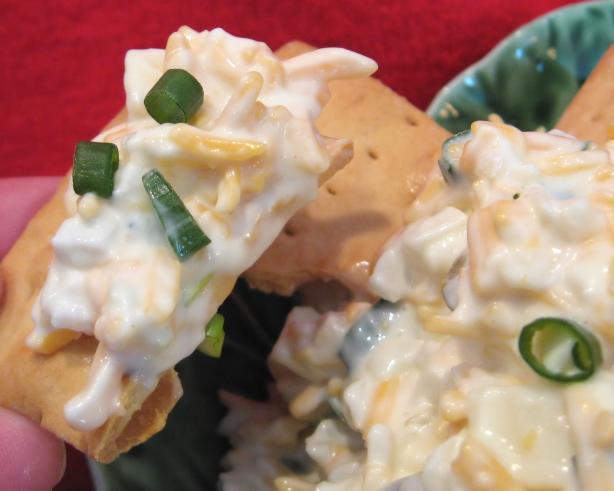 Cheese n' Jalapeno Spread. Photo by Kathy at Food.com