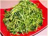 Pea Shoots (Stir-Fried Pea Shoots -- Chow Dau Miu)