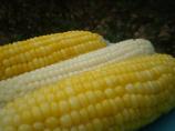 Corn on the Cob; Stays Hot and Fresh. Photo by breezermom