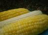 Corn on the Cob; Stays Hot and Fresh