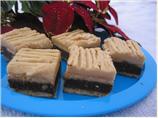 Chocolate Graham Pecan Squares