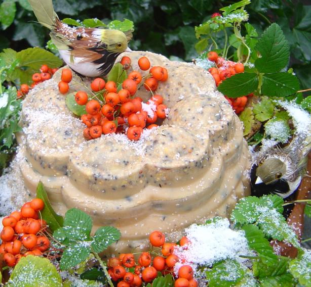 Bird Cakes. Photo by Pets'R'us