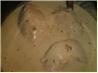 Crock Pot Cream Cheese Ranch Chicken