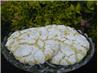E-A-S-Y Cake Mix and Cool Whip Cookies