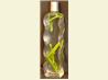 Jalapeno Vodka