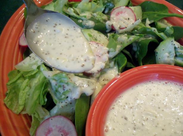 Low Fat Celery Seed Salad Dressing. Photo by *Parsley*