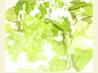 Salad Dressing for Teenage Boys (And Their Families)