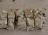 Torrones - a Christmas Time Nougat Candy. Recipe by Manami