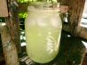 Lemonade Made With Stevia. Photo by gailanng