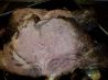 Sunday Rib Roast