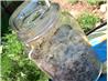 Italian Parmesan Herb Mix