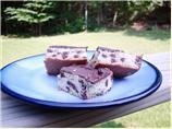 Toll House Shortbread Squares