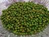 Dressed Peas