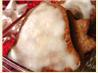 Orangen-Schokoplatzchen (Orange-Chocolate Cookies). Recipe by ILuvRecipes