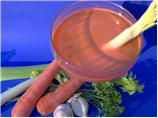 Ww 0 Points - Immunity Building Cocktail
