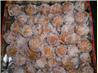 Gulab Jamun. Recipe by butterfly_