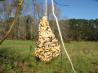 Bird Feed Cones