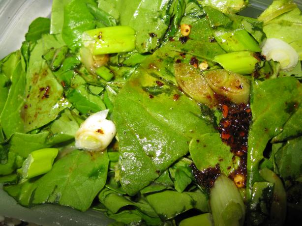 My Mom's Wilted Lettuce. Photo by threeovens