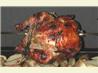 Garlic-Lemon Rotisserie Chicken With Moroccan Spices