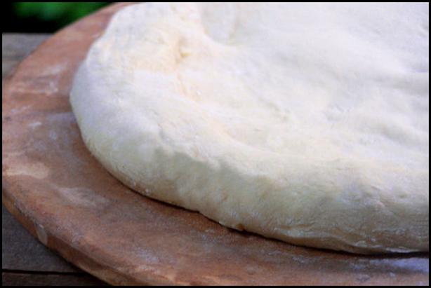 Basic Pizza Dough- Use Now or Use Later! OAMC Too!. Photo by NcMysteryShopper