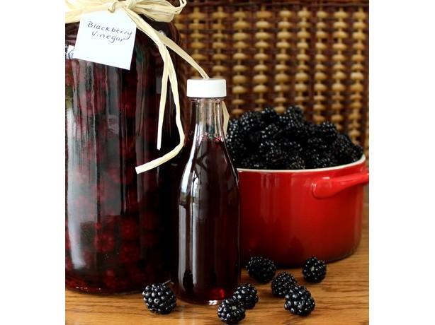 Blackberry Vinegar. Photo by Calee
