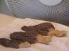Dried Morel Mushrooms