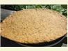 Crispy Beer Flat Bread