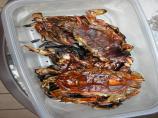 Soft Shell Crabs Mia