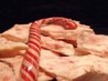 Peppermint Candy Cane Bark