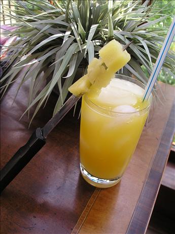 Caribbean Punch. Photo by fluffernutter