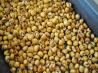 Corn  Pops Snack Mix. Recipe by momof3rjc