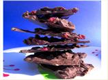 Cranberry Almond Chocolate Bars With Tangerine Zest