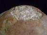 Hot Crab Dip in a Round Loaf. Recipe by KennKonn