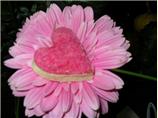 Valentine Cookies