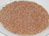 Creole Seasoning