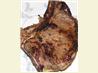 Kurt Busch's Grilled T-Bone