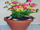 Flower Pot Dessert