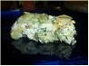 Broccoli Casserole