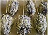 Martha's Chocolate Covered Bananas