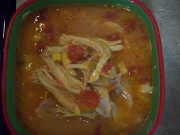 Hearty Chicken Enchilada Soup. Photo by Cookin It Up Courtney