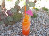 Campari and Orange Juice