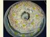 Luscious Lemon Bundt Cake W/Lemony Cream Cheese Frosting