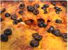 Brother Steve's Deluxe Enchiladas. Recipe by Tiomarrano