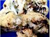 Grilled Cauliflower