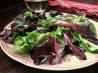 Simply Green!  (Salad)