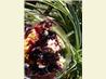 Wild Blueberry Cobbler