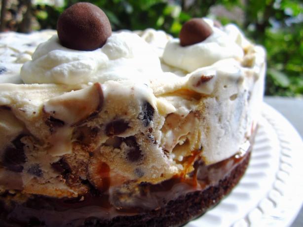 Chocolate Malt Ice-Cream Cake. Photo by gailanng
