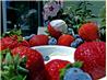 Amaretto Sour Cream Strawberries