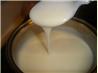 No Roux White Sauce. Recipe by samcp4